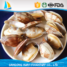 high quality frozen Baby Clam Short Necked Clam Suppliers & Exporters in China
